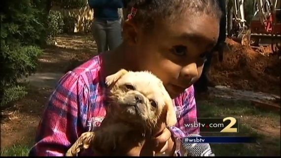 When A Tiny Dog Fell Down A Pipe, Firefighters Were Called In For This Rescue