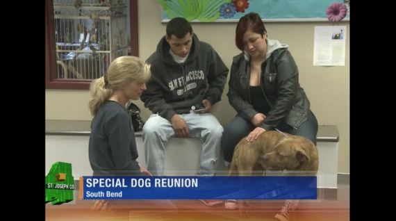 Hit-and-Run Dog Reunites with Family After Life Saving Surgery