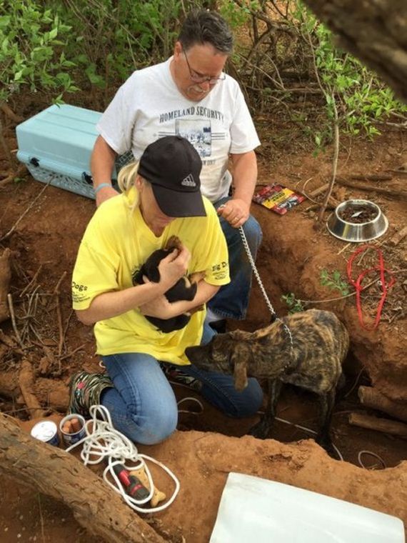 Rescuers Spent Three Days Saving Six Dogs Abandoned in Woods