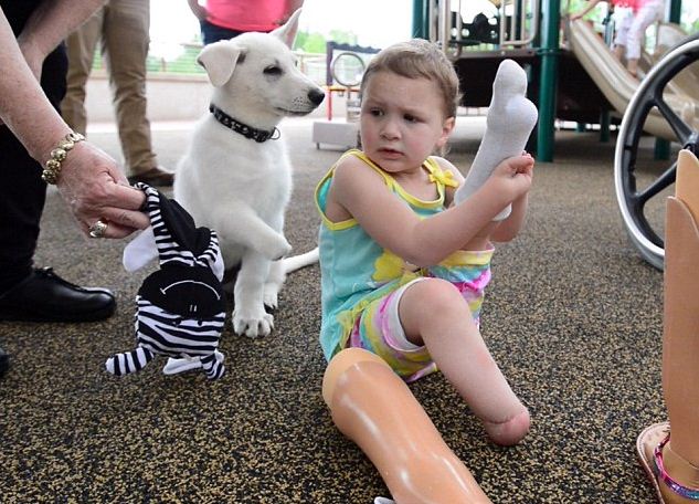 Little Girl With No Feet Adopts Dog With No Paw – They’re The Perfect Pair