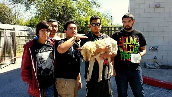 Texas Teenagers Save the Life of an Abandoned, Dying Dog