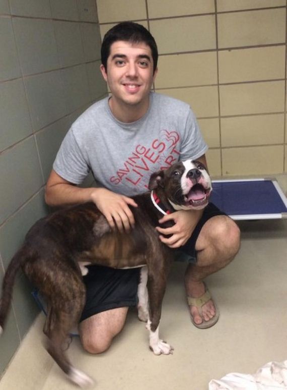 Scared Shelter Dog’s Wish Comes True