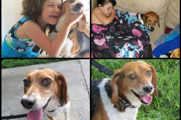 Utah Girl Reunited With Dog After Two Years
