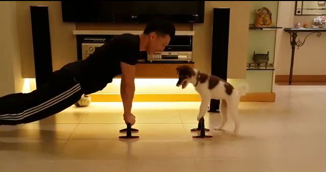 You’ll Never Make An Excuse To Skip Your Workout With This Guy’s Adorable Exercise
