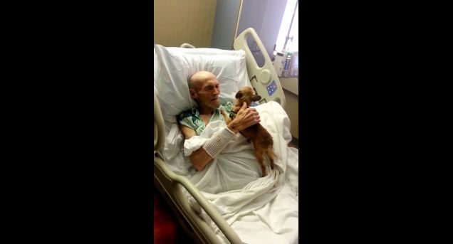 Dying Man Gets A Visit From His Beloved Dog