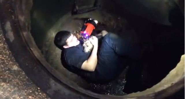 Rescue Workers Save A Dog Stuck In A Storm Drain And My Heart Won’t Stop Pounding!