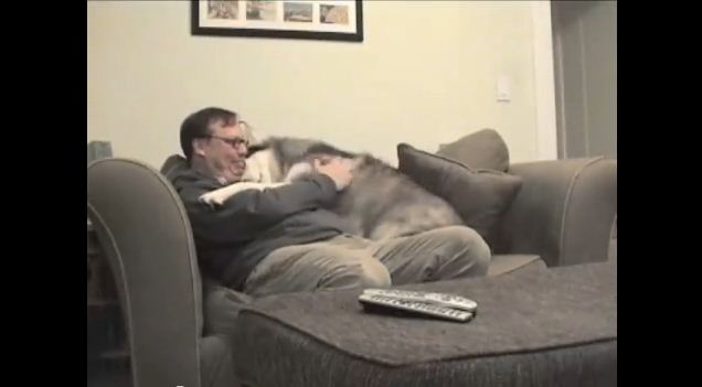 This Guy Gets The BEST Greeting From His Dog Every Day When He Gets Home