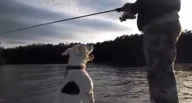 He Just Wanted To Go Fishing, But His Hilariously Chatty Dog Had Other Ideas