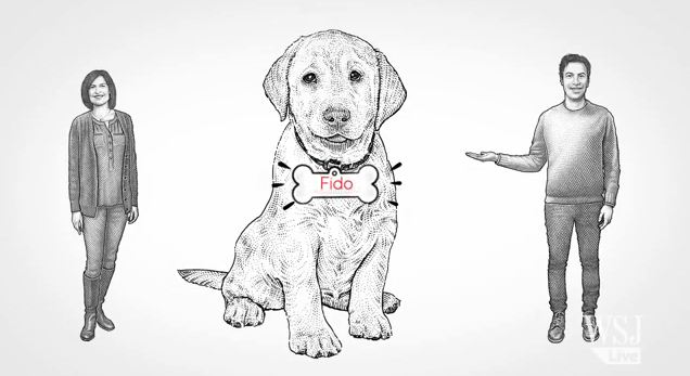 What Naming A Puppy Says About Decision-Making