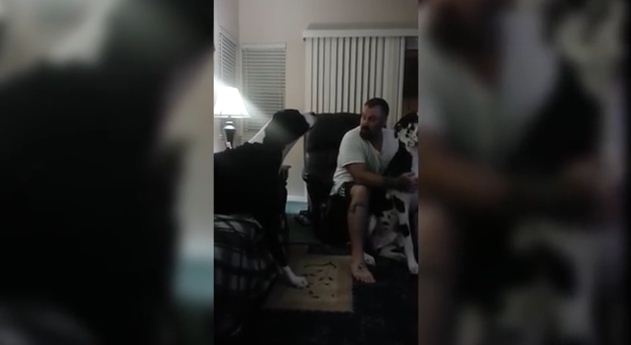 Jealous Dog Demands Bro-Time With Dad