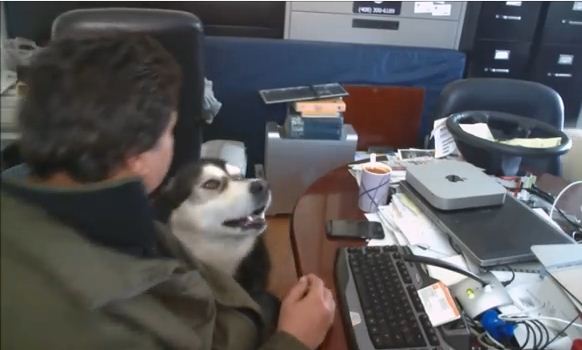 He Was Feeling Sad And Heartbroken, But Then His Loyal Dog Did This