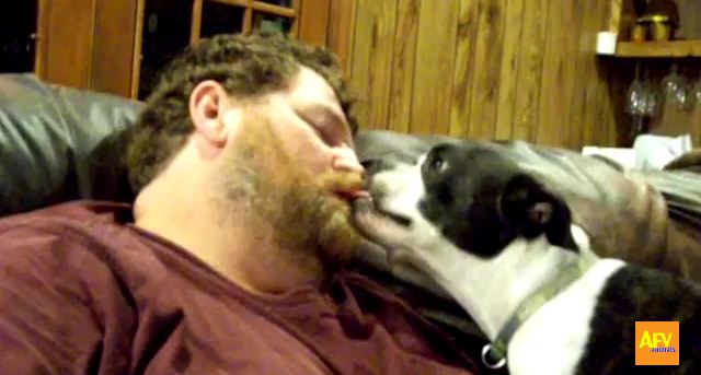 Dogs Just LOVE to Give Kisses!