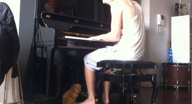 Every Time He Stops Playing The Piano, His Puppy Does Something Ridiculously Cute