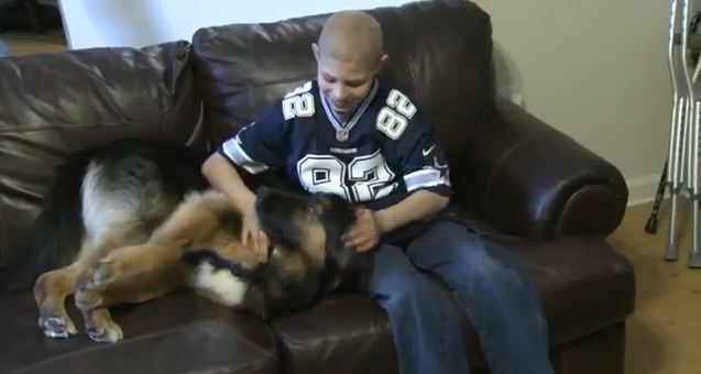 This Senior Dog Was Near Death Until He Was Adopted By A 10 Year Old With Cancer