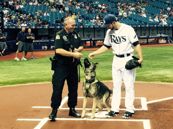 Police Dog Throws First Pitch at Baseball Game