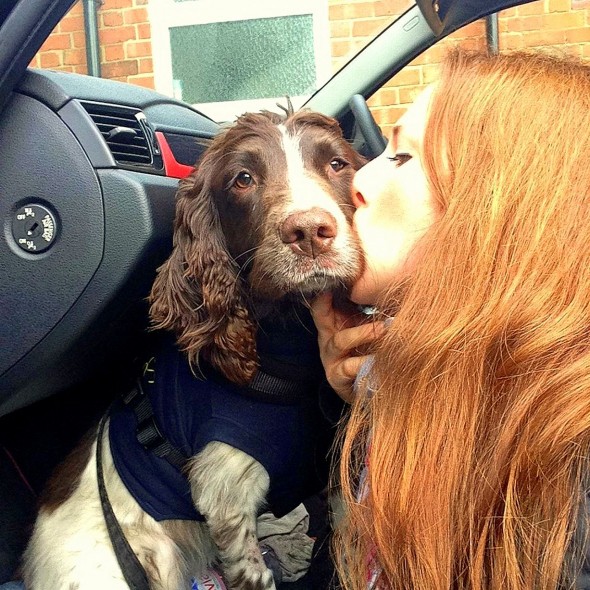 Entire Village Saves a Dog with a “Broken Heart”