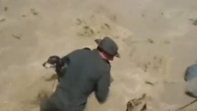Colombian Officers Rescue A Dog From A Landslide…And Perform A Miracle