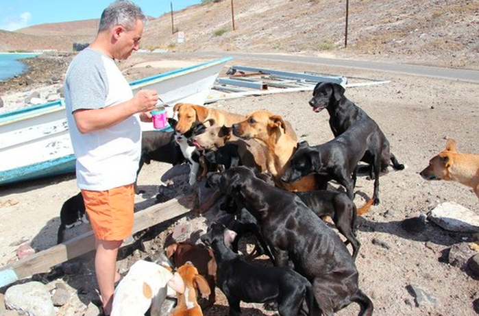 Inspiring Couple Rescues Over 30 Dogs And Cats While On Vacation In Mexico – Incredible Story!