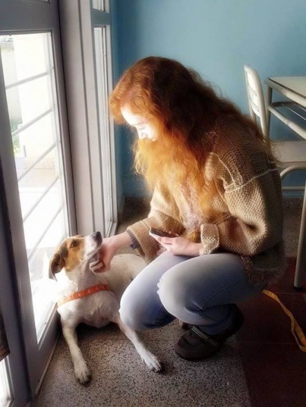 Social Media Helps Stray Dog Sleeping in Library Find Forever Home