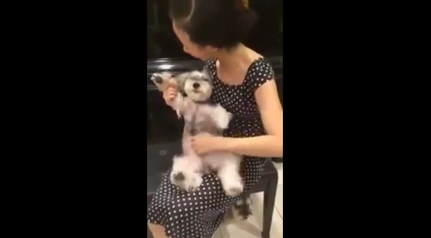 When This Woman Plays Her Pup Like A Guitar…Something Incredibly Cute Happens