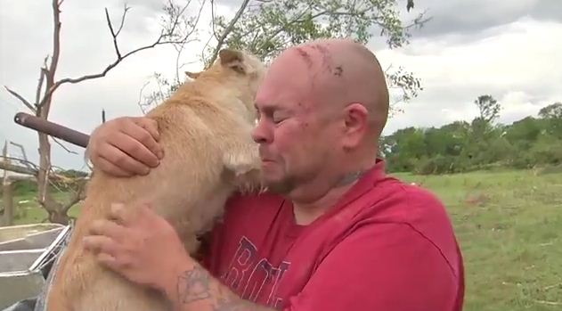 He Thought Their Dog Was Killed In a Tornado. Now Watch Their Miraculous Reunion!