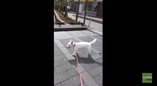 He May Be Old, He May Be Deaf, But Man, Can He Rock Out!