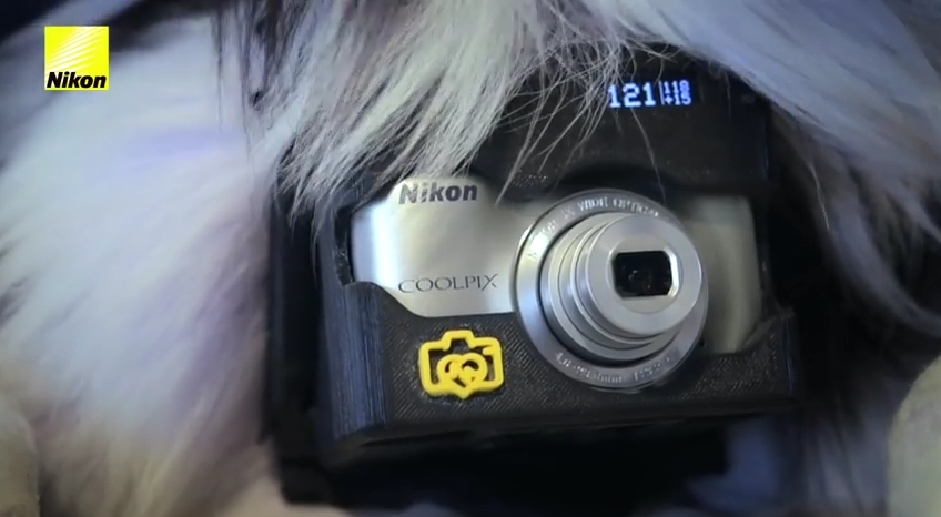 Nikon Develops Camera that Your Dog Can Operate