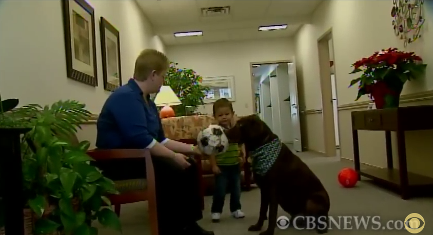 The Reason This Dog Is Wandering Around A Funeral Home Will Have You In Tears