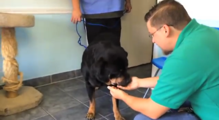 Man Reunited With His Missing Dog After Long 8 Years -Wait Till You See The Dog’s Reaction!