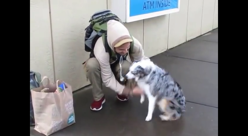 Owner and Dog Reunion: Together Again After Four Months Apart