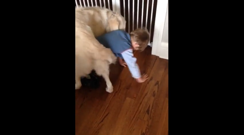 Dog Invents New Way To Hug His Favorite Human