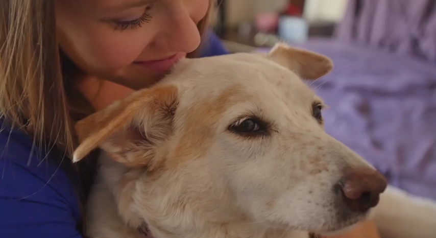 Abandoned Dog Ate Rocks To Survive Chained To A Tree – Wait ‘Till You See Her Response To Rescue