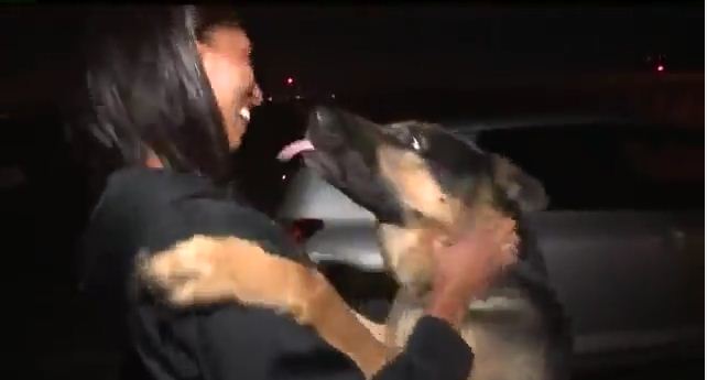 Gone For Three Years, Missing Dog Reunited With SoCal Family After Being Found In Virginia