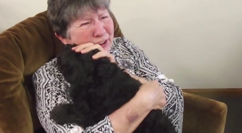 GOING VIRAL: They Said “Turn Around Mom”, Then Surprised Her With Her Lost Dog!