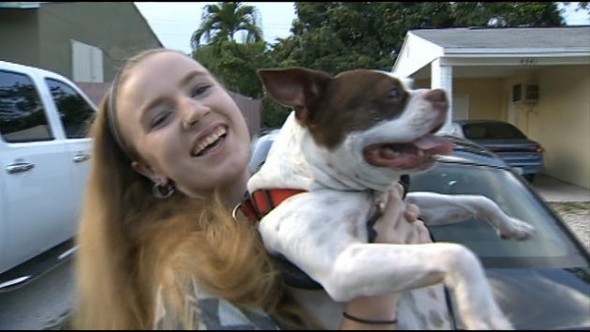 Dog Reunited With Family After Seven Year Separation