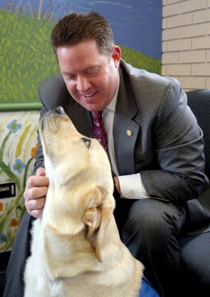 Chicago County Court to Put Therapy Dog in Courtroom