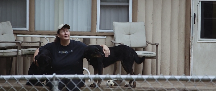 After Suffering From A Tragic Accident, This Woman Now Rescues Severely Abused Dogs From Horrible People