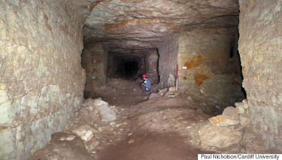Millions Of Mummified Dogs Discovered In Ancient Egyptian Catacombs