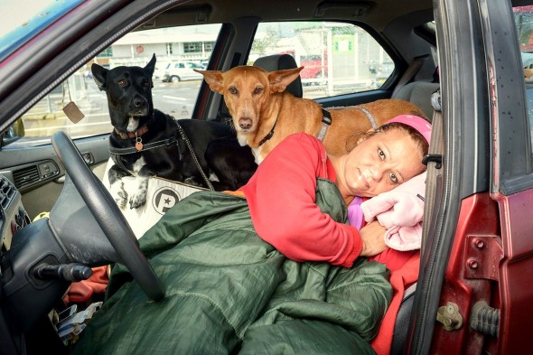 Teacher Chooses to Live in Car Rather Than Give Up Rescue Dogs