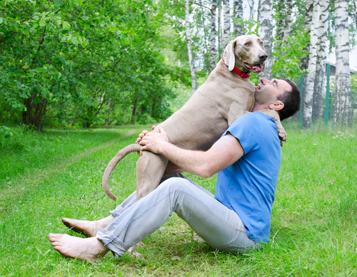 7 Signs Your Dog Definitely Needs More Exercise