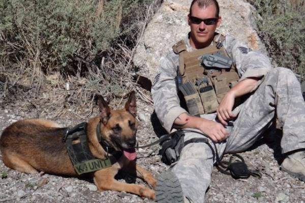 Military dogs are man’s best hero