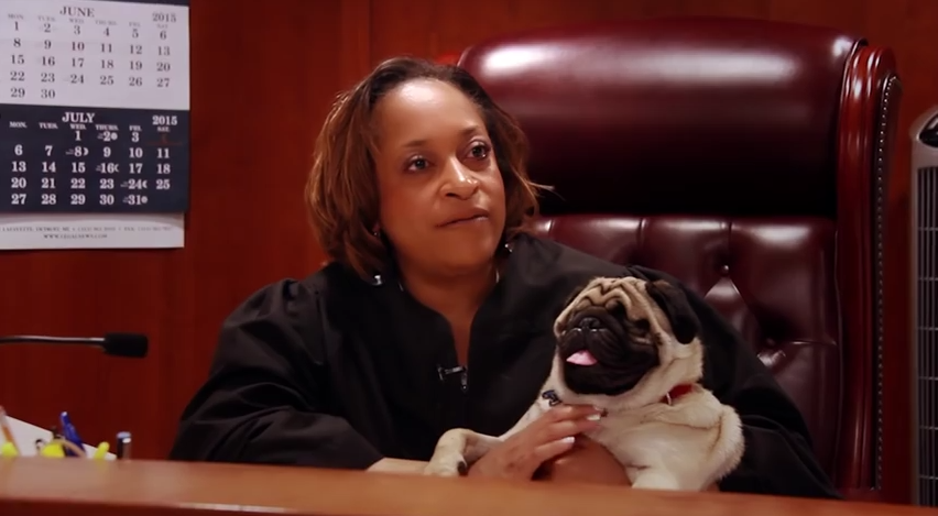 This Judge And Her Blind, Rescued Pug Are The Best Of Friends, And It’s Too Cute!