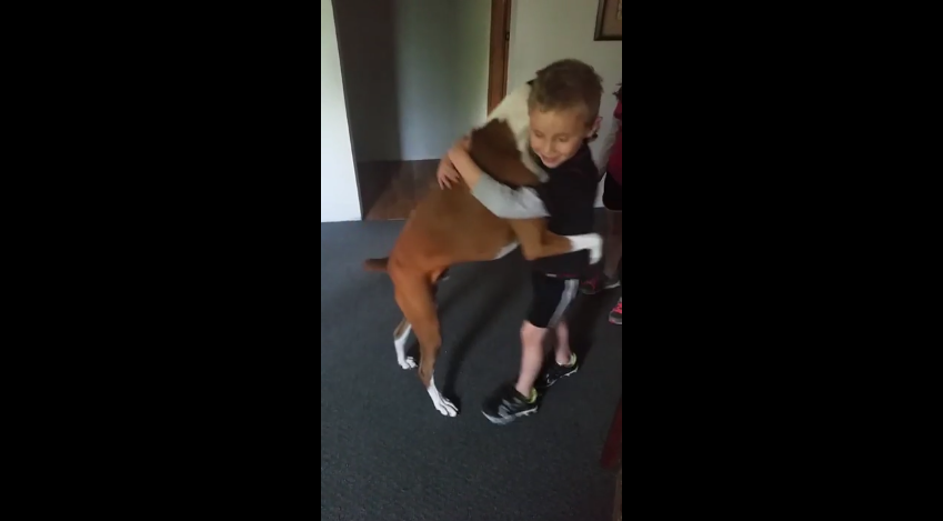 This Little Boy Asks For A Hug – What This Dog Did Blew Everyone Away