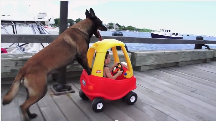 This Loyal Pup Pushing His Human In A Toy Car Will Put A Huge Smile On Your Face