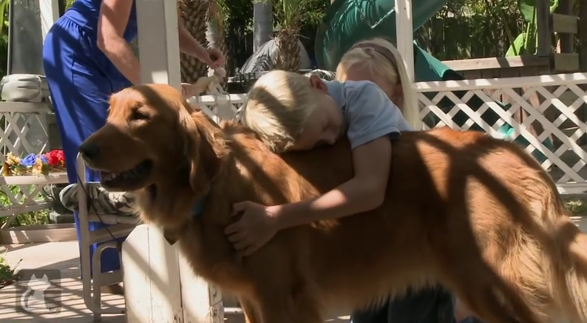 This Dog Saves Her Human’s Life On A DAILY Basis…And The Way She Does It Is Pretty Amazing