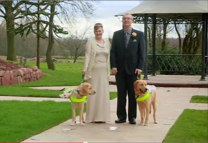 First These Guide Dogs Fell In Love, Then Their Humans Did Too.