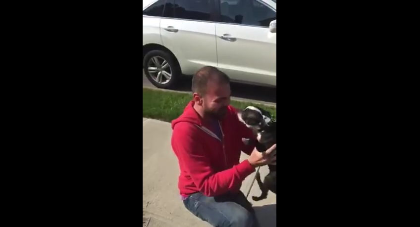 This Is, Hands Down, The Most Adorable Dog And Dad Reunion Ever…Too Adorable!