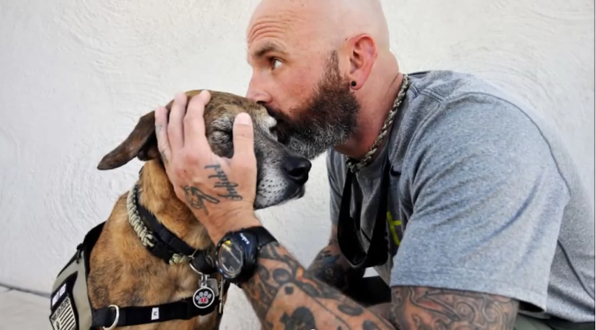 New Project Seeking To Rescue Dogs From Shelters & Train Them To Be Service Dogs