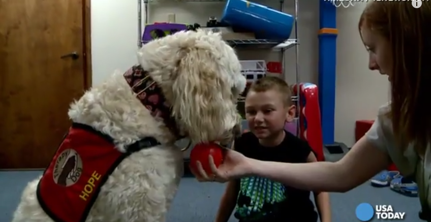 Disabled After A Hit And Run, This Dog Now Gives Struggling Kids A Second Chance