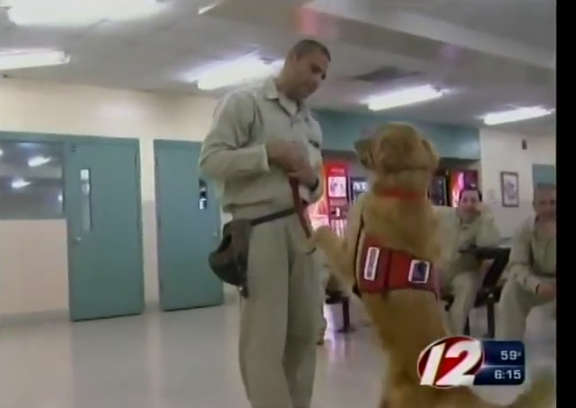 This Dog’s Owner Dropped Him Off At A Prison…Just Wait Until You Learn Why